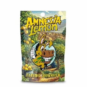 CBD Hash Amnesia Lemon > Flying Burrito